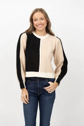 Central Park West Ezra Colorblocked Crewneck Sweater in Black Multi