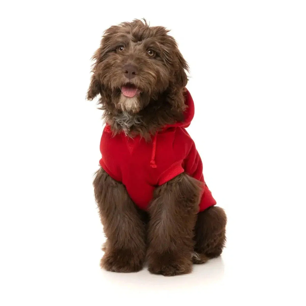 FuzzYard | Zoomies Hoodie - Red