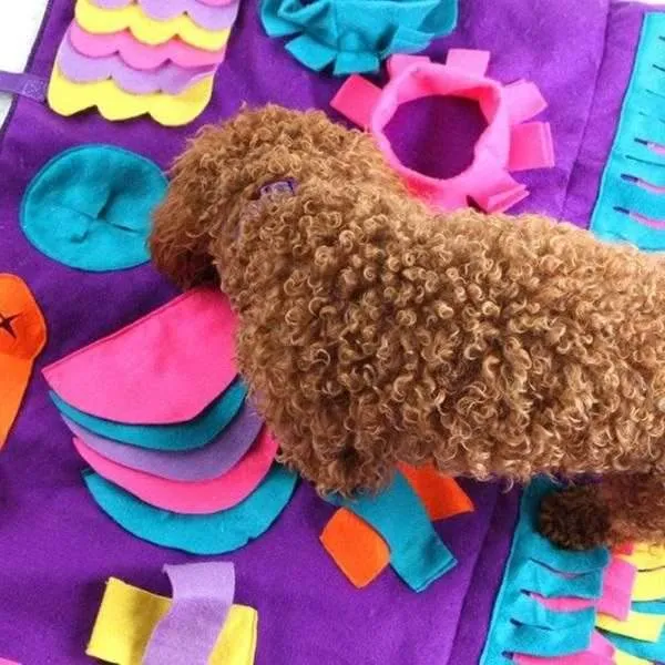 Interactive Snuffle Mat