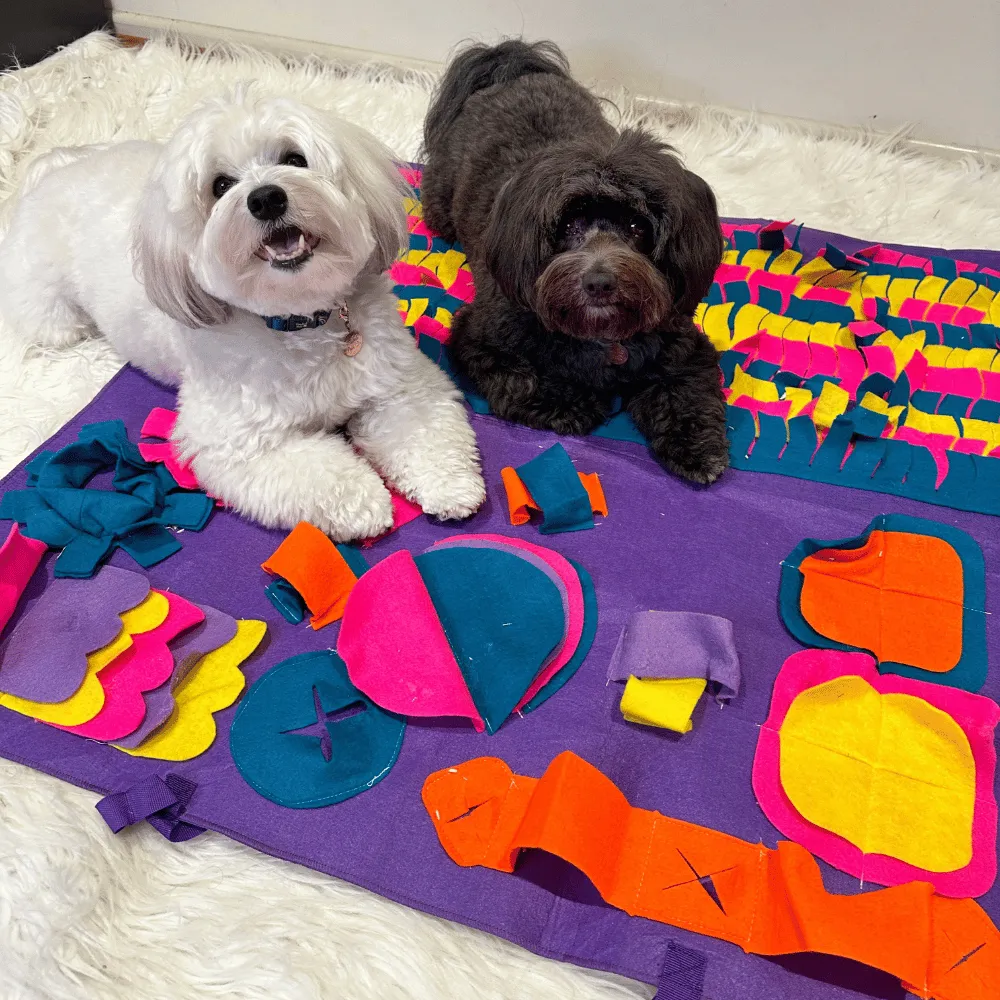 Interactive Snuffle Mat