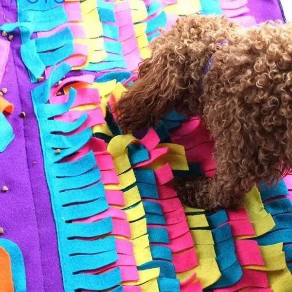 Interactive Snuffle Mat