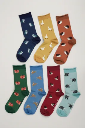 Seasalt Women's Sailor Socks Box of 7 Creatures in Deer Trail Mix