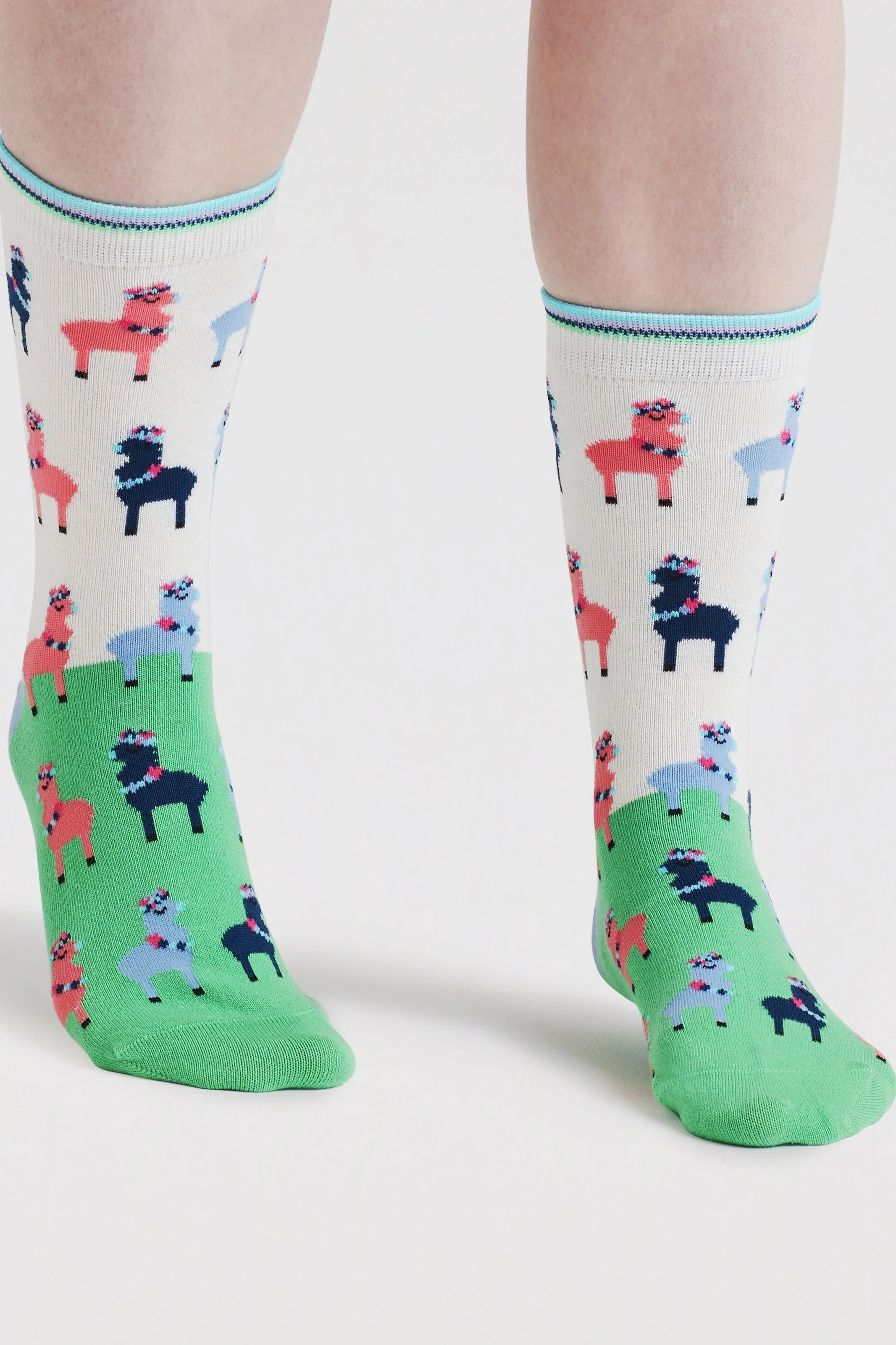 Thought Clara Rainbow Llama Organic Cotton Socks - Apple Green